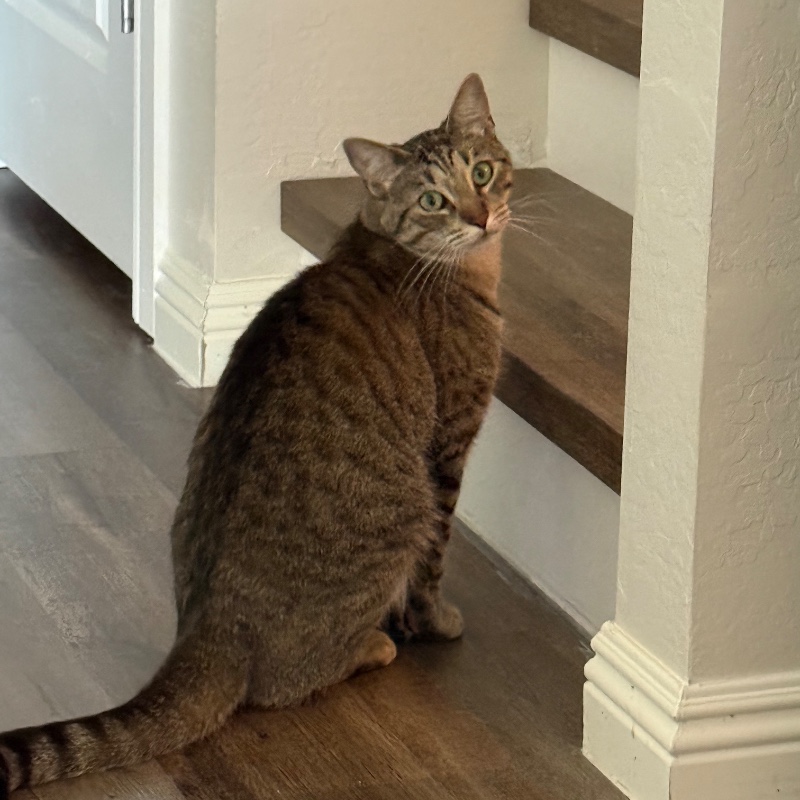 Leo
